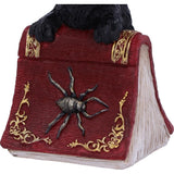 spider Hocus Small Witches Familiar Black Cat and Spellbook Figurine
