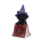 Hocus Small Witches Familiar Black Cat and Spellbook Figurine Nemesis Now U5231S0