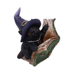 Cute Kitty's Grimoire Book of Spells Figurine in green at Mystical and Magical
