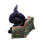 Kitty's Grimoire Book of Spells Figurine in green