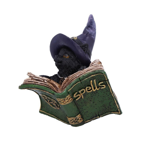 Kitty's Grimoire Book of Spells Figurine in Green