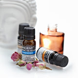 Lavender 10ml Pure Essential Oil from Mystical and Magical Halifax