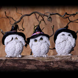 Three Wise Owls Feathered Familiars