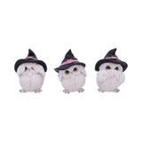 Set of Three Wise Owls Feathered Familiars at Mystical and Magical Halifax Nemesis Now U5736U1