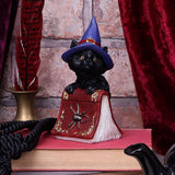 display Hocus Small Witches Familiar Black Cat and Spellbook Figurine