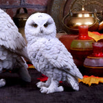 on display Snowy Watch Small White Owl Ornament at Mystical and Magical Halifax UK