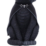 Purrah Black Witch Cat Nemesis Now Hanging Ornament Figurine B5596T1 at Mystical and Magical