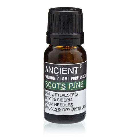 Scots Pine (Pine Sylvestris) 10 ml Pure Essential Oil