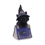 Pocus Small Witches Familiar Black Cat and Spellbook Figurine Nemesis Now U5232S0