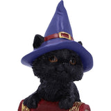 hat Hocus Small Witches Familiar Black Cat and Spellbook Figurine