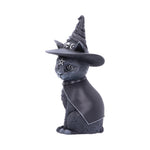 Purrah Witches Hat Occult Cat Figurine Nemesis Now B5238S0