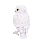 Snowy Watch 20cm White Owl Ornament