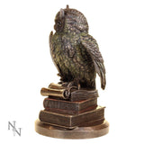 right side Nemesis Now Ulula Wise Owl Figurine 