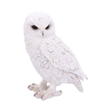 Snowy Watch 20cm White Owl Ornament at Mystical and Magical Halifax UK