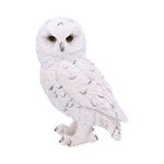 Snowy Watch Small White Owl Ornament at Mystical and Magical Halifax UK U4773P9