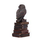 Spellcraft Witches Familiar Owl on Book Bronzed Figurine