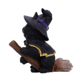 Tabitha Small Witches Familiar Black Cat and Broomstick Figurine