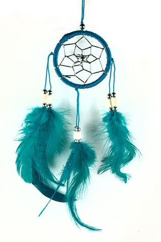 Turquoise Dreamcatcher with Bone Beads and Feathers.