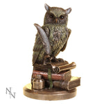 Nemesis Now Ulula Wise Owl Figurine  at Mystical and Magical
