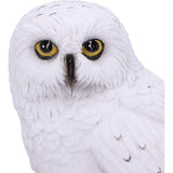 Wizard's Familiar Owl Figurine b5901v2 Nemesis Now