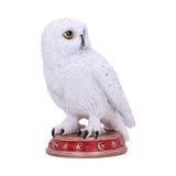 Wizard's Familiar Owl Figurine b5901v2 Nemesis Now