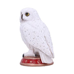 Wizard's Familiar Owl Figurine b5901v2 Nemesis Now