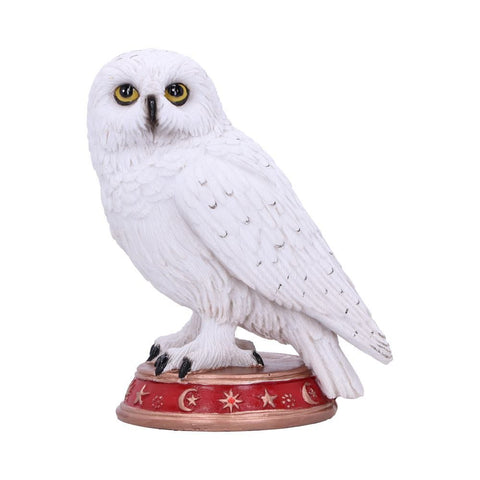 Wizard's Familiar Owl Figurine Nemesis Now B5901V2
