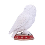 Wizard's Familiar Owl Figurine b5901v2 Nemesis Now